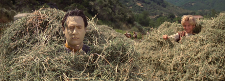 man's head sticking out of haystack